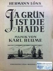 Ja grün ist die Haide 