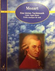 Eine kleine Nachtmusik 