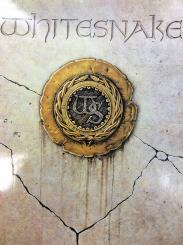 Whitesnake 